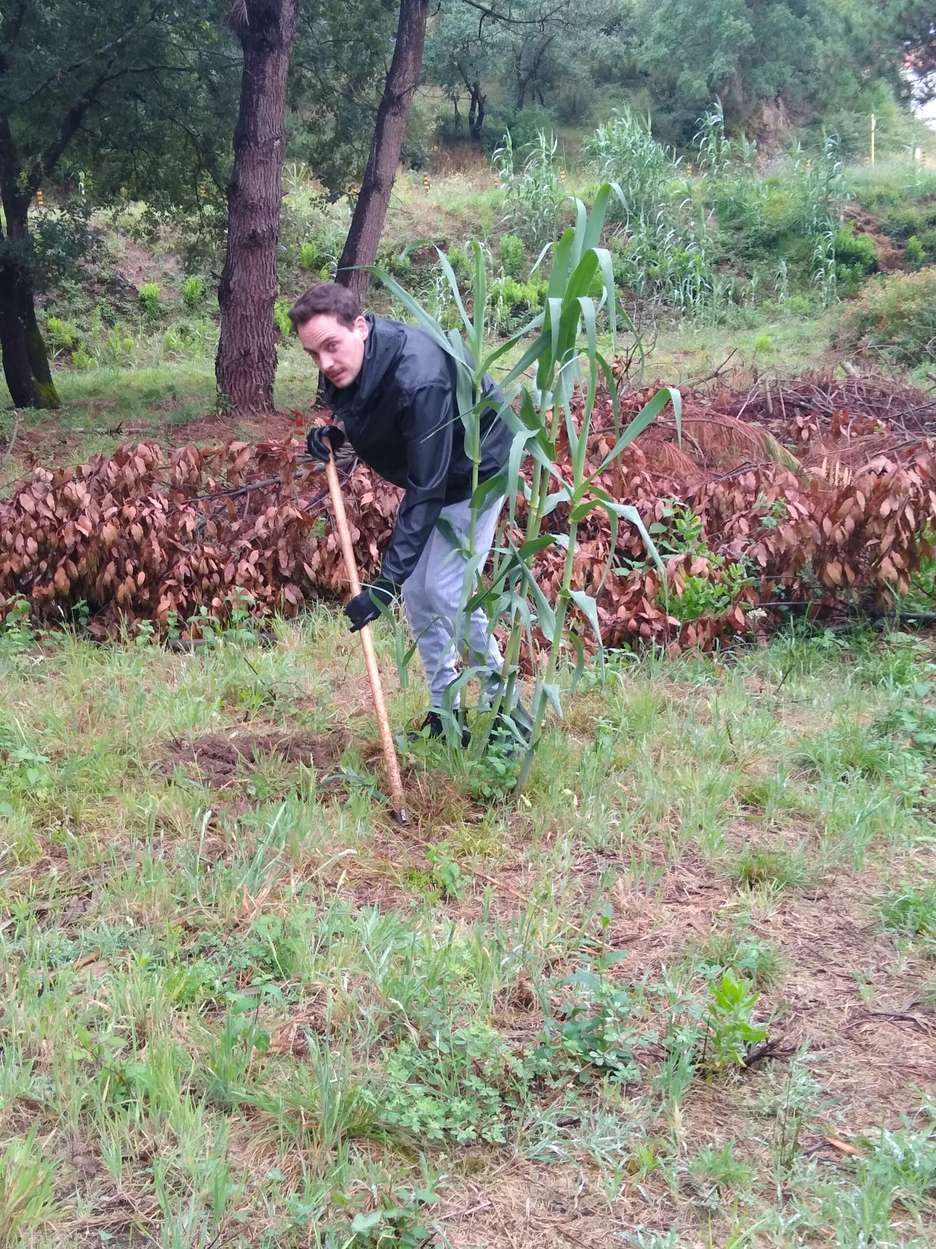 IMG_20240629_120653180