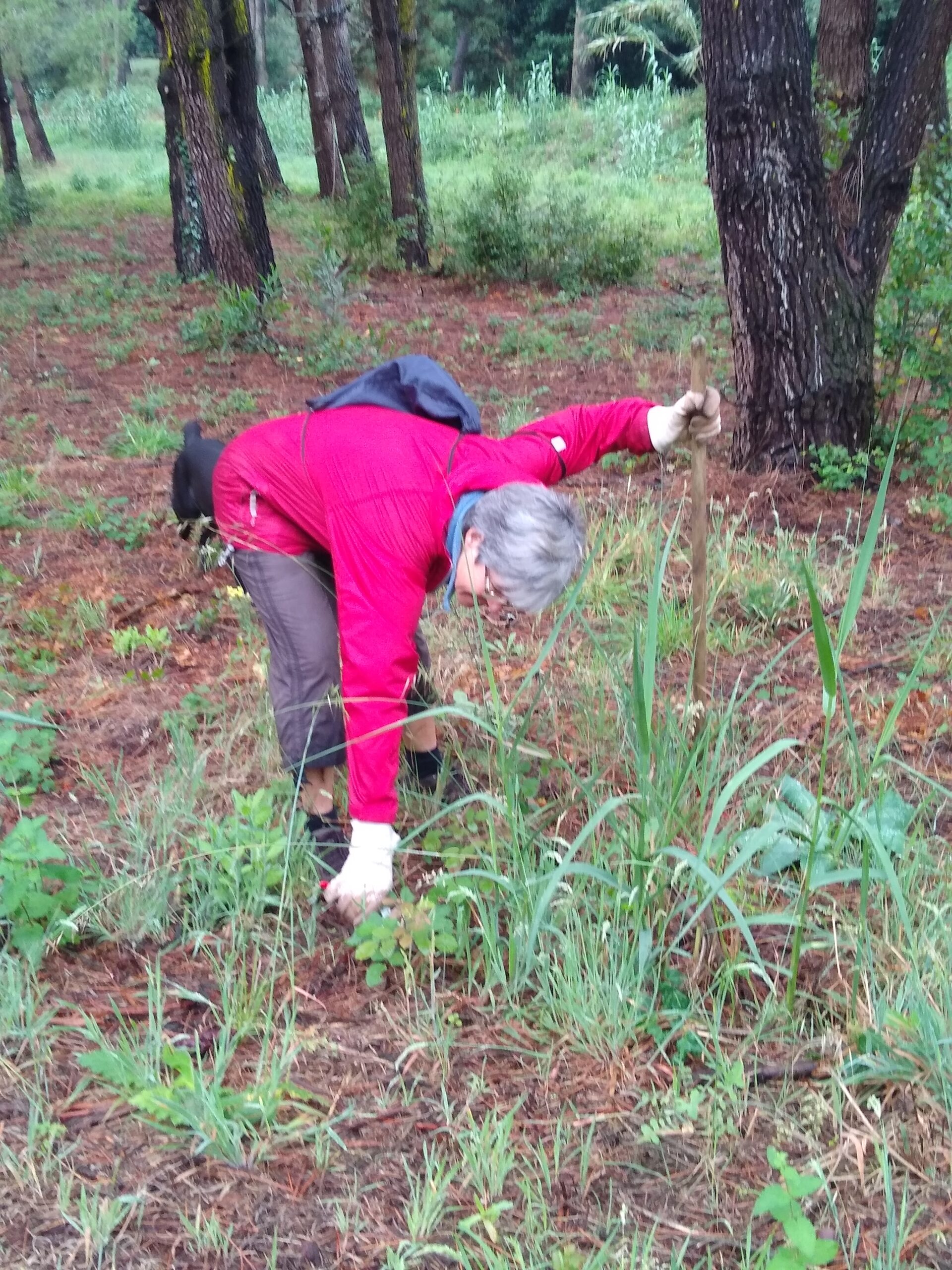 IMG_20240629_120701246